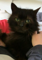 /album/14-03-2026/whatsapp-image-2026-03-13-at-16-35-16-jpeg/